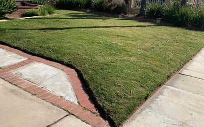 Photo of Vincent L.'s yard after getting lawn care in Colton, CA