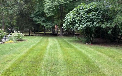 Photo of Asia E.'s yard after getting lawn care in Matthews, NC