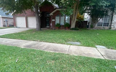 Photo of Anita S.'s yard after getting lawn care in Balch Springs, TX