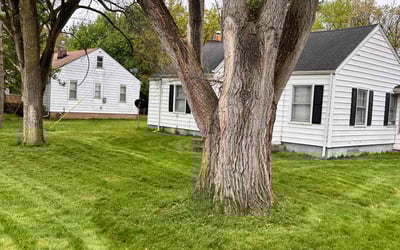 Photo of Ciara F.'s yard after getting lawn care in Southfield, MI