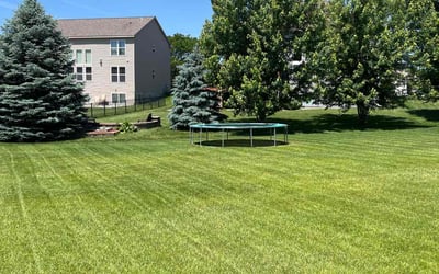 Photo of Bridget M.'s yard after getting lawn care in Blaine, MN