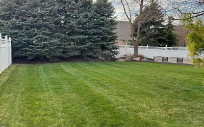 Photo of Ricky P.'s yard after getting lawn care in Plattsmouth, NE
