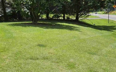 Photo of Charmayne H.'s yard after getting lawn care in Claremore, OK
