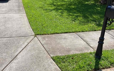 Photo of Carol V.'s yard after getting lawn care in Kennesaw, GA