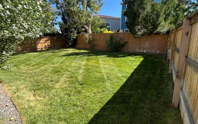 Photo of Laura R.'s yard after getting lawn care in Littleton, CO