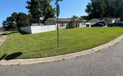 Photo of Maya Z.'s yard after getting lawn care in Suffolk, VA