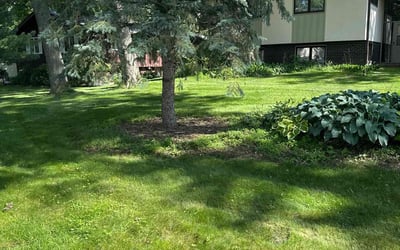 Photo of Earl C.'s yard after getting lawn care in Saint Michael, MN