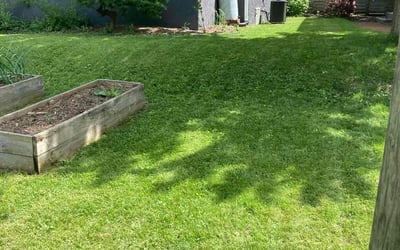 Photo of Pamela W.'s yard after getting lawn care in Camby, IN
