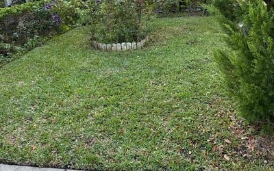 Photo of Christopher B.'s yard after getting lawn care in Doctor Phillips, FL