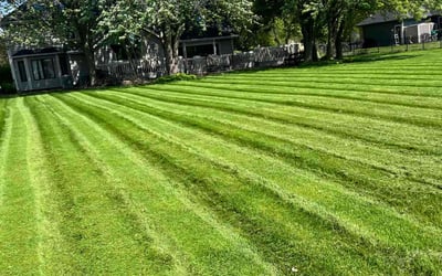 Photo of Robert T.'s yard after getting lawn care in Cicero, IL