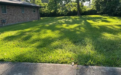 Photo of Cheryl H.'s yard after getting lawn care in Worcester, MA