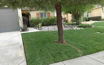 Photo of Jeff S.'s yard after getting lawn care in Beaumont, CA