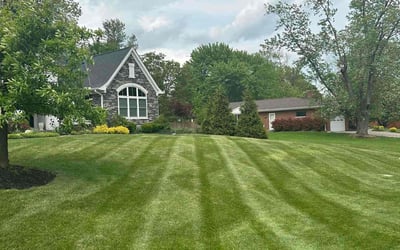 Photo of Hanan E.'s yard after getting lawn care in Rosenberg, TX