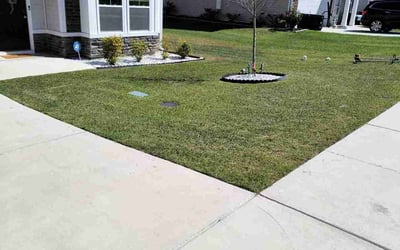 Photo of Atene R.'s yard after getting lawn care in Blythewood, SC