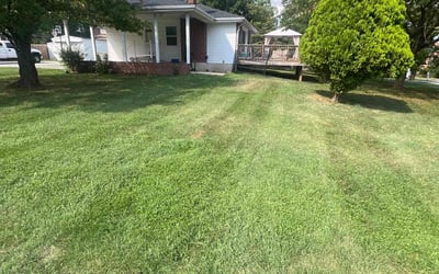 Photo of Steven C.'s yard after getting lawn care in Havre De Grace, MD