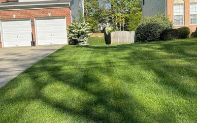 Photo of Craig S.'s yard after getting lawn care in Fort Washington, MD