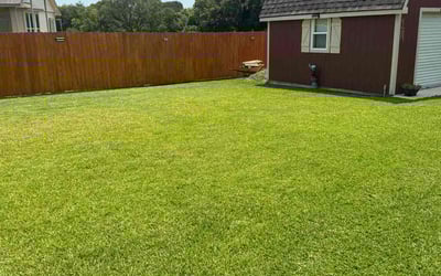 Photo of Jennifer H.'s yard after getting lawn care in Corpus Christi, TX