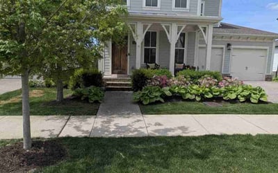 Photo of Katie W.'s yard after getting lawn care in Franklin, TN