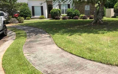 Photo of Meosha B.'s yard after getting lawn care in Barberton, OH
