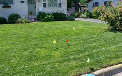 Photo of Dieu V.'s yard after getting lawn care in Neenah, WI