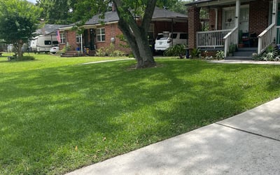Photo of Alamar R.'s yard after getting lawn care in South Plainfield, NJ