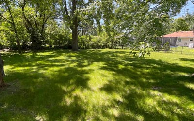 Photo of Jimmie S.'s yard after getting lawn care in Fridley, MN