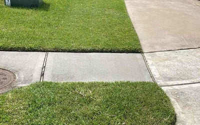 Photo of Eric L.'s yard after getting lawn care in Hampton, VA