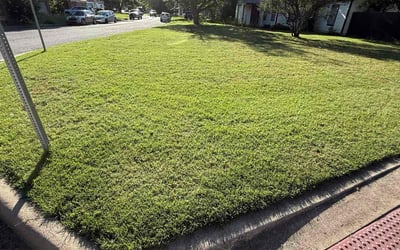 Photo of Alex N.'s yard after getting lawn care in Jacksonville, FL