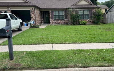 Photo of Erika W.'s yard after getting lawn care in Pasadena, TX