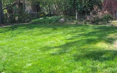Photo of Susan K.'s yard after getting lawn care in Spotsylvania, VA