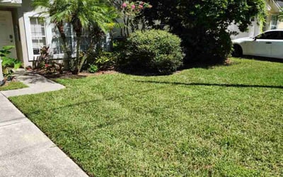 Photo of Melissa N.'s yard after getting lawn care in Jacksonville Beach, FL