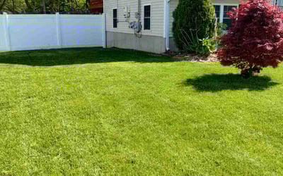 Photo of Chacara G.'s yard after getting lawn care in Attleboro, MA