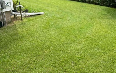 Photo of Nancy H.'s yard after getting lawn care in East Haven, CT
