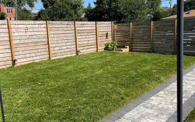 Photo of Jalil M.'s yard after getting lawn care in Arlington, VA