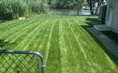 Photo of Kyle B.'s yard after getting lawn care in Kennewick, WA