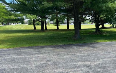 Photo of Amanda F.'s yard after getting lawn care in Jamestown, NY
