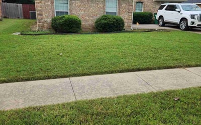 Photo of Kim D.'s yard after getting lawn care in Coventry, RI