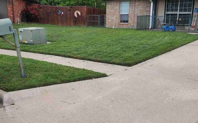 Photo of Dale C.'s yard after getting lawn care in Copperas Cove, TX