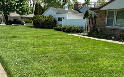 Photo of Lizabeth L.'s yard after getting lawn care in Glenview, IL
