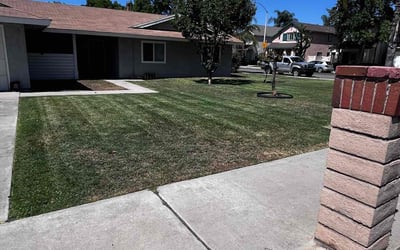 Photo of Phil C.'s yard after getting lawn care in Big Bear Lake, CA