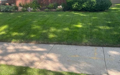 Photo of Nick W.'s yard after getting lawn care in Kalamazoo, MI