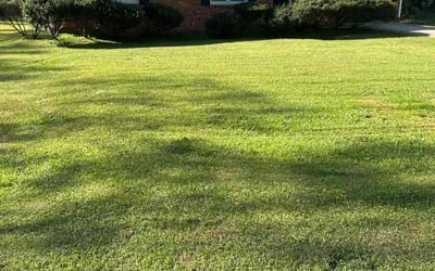 Photo of Melanie H.'s yard after getting lawn care in Austell, GA