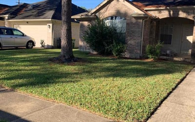 Photo of Rashard I.'s yard after getting lawn care in Pearland, TX