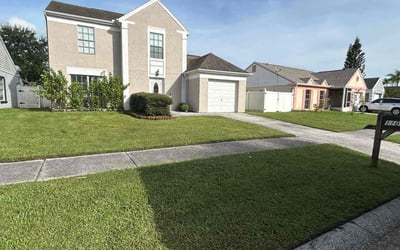 Photo of John M.'s yard after getting tree care in Dover, FL