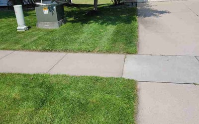 Photo of Renee W.'s yard after getting lawn care in Lenoir, NC