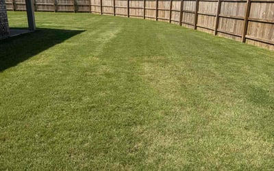 Photo of Elizabeth B.'s yard after getting lawn care in Horn Lake, MS