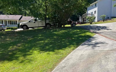 Photo of Mike L.'s yard after getting lawn care in Duluth, GA