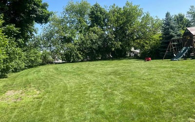 Photo of Christopher M.'s yard after getting lawn care in Needham, MA