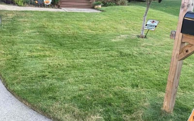 Photo of Adrian E.'s yard after getting lawn care in Duluth, GA