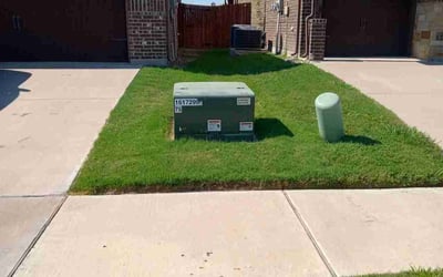 Photo of Marlicia A.'s yard after getting lawn care in Warren, MI